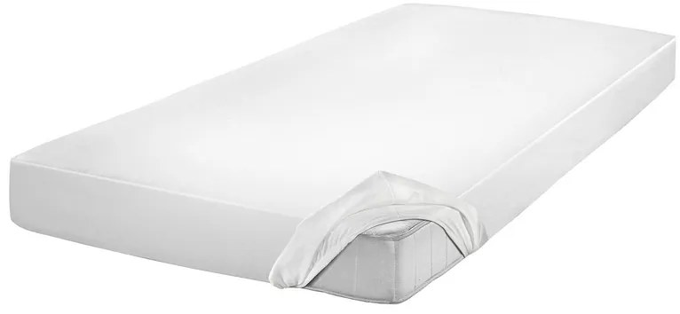 Setex Inkontinenčná ochrana matraca, 2-vrstvová (100 x 200 cm) (100166718)