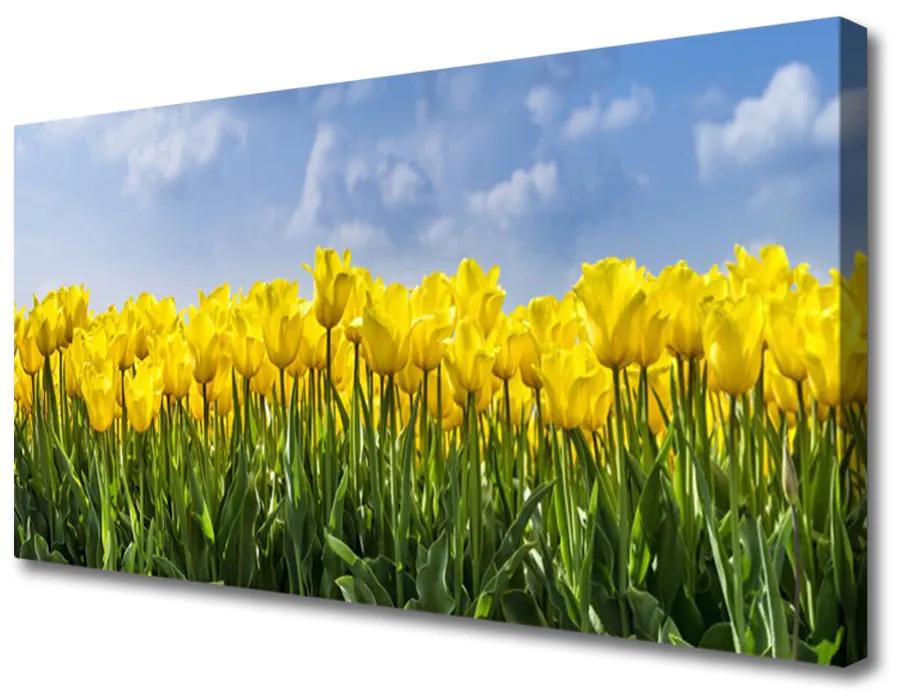 Obraz Canvas Tulipány kvety rastlina 140x70cm