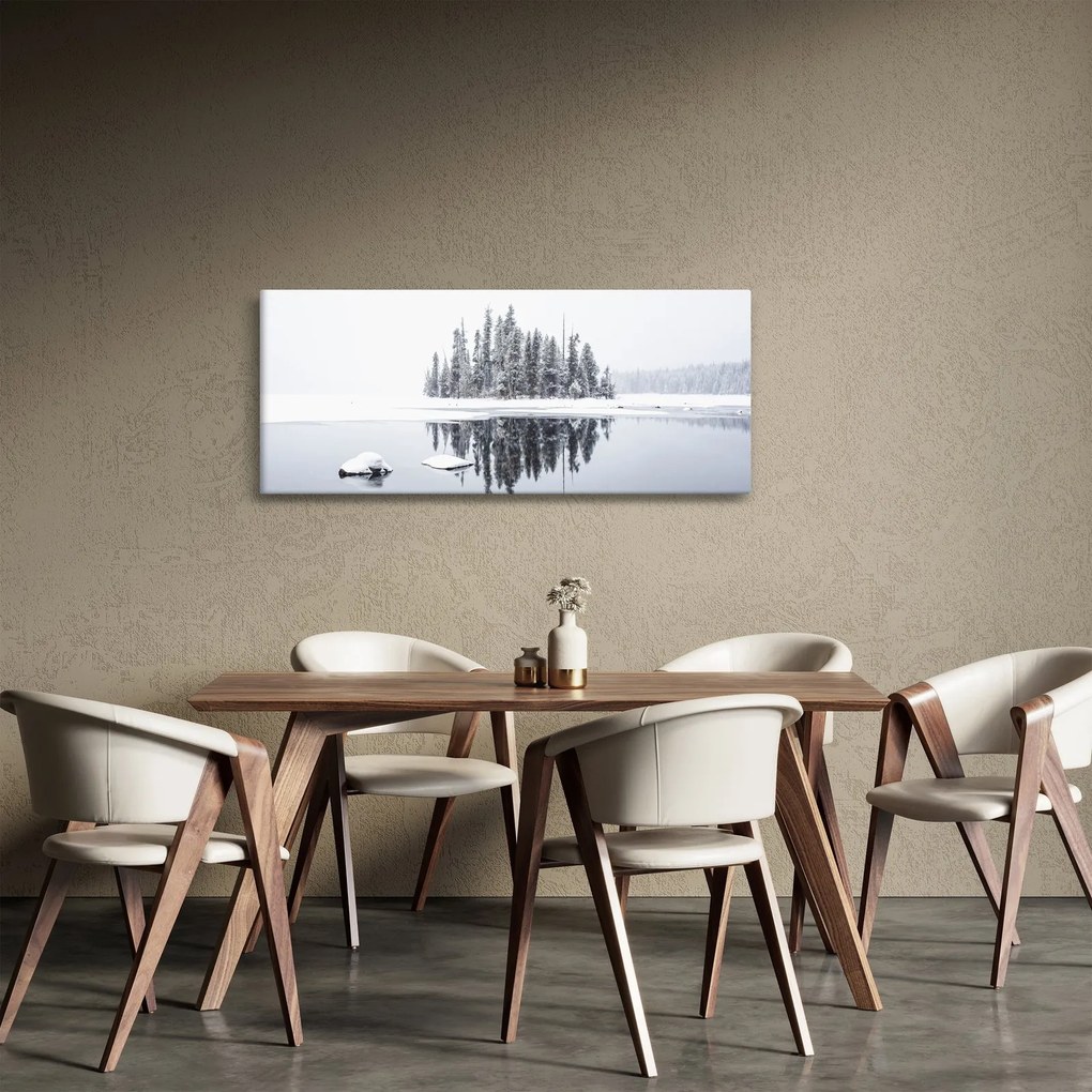 Obraz- Bolo bielo (120x50 cm)