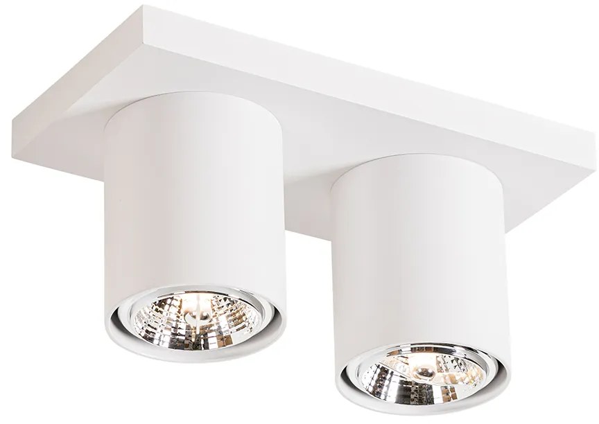 Moderné stropné bodové svetlo biele 2-žiarovkové - Tubo