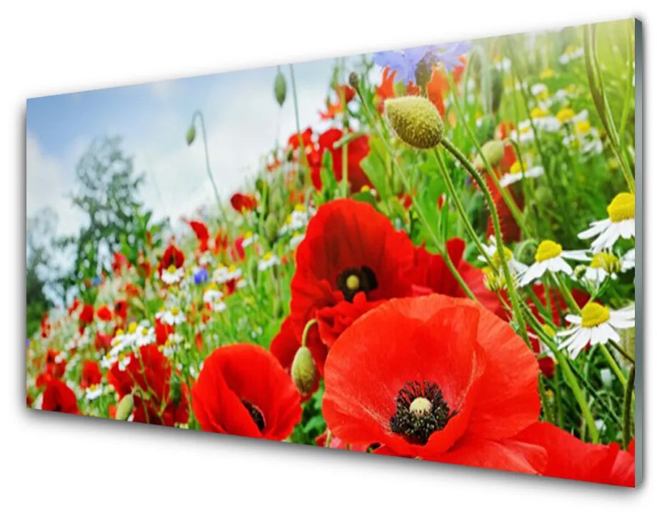 Nástenný panel  Kvety príroda 125x50 cm