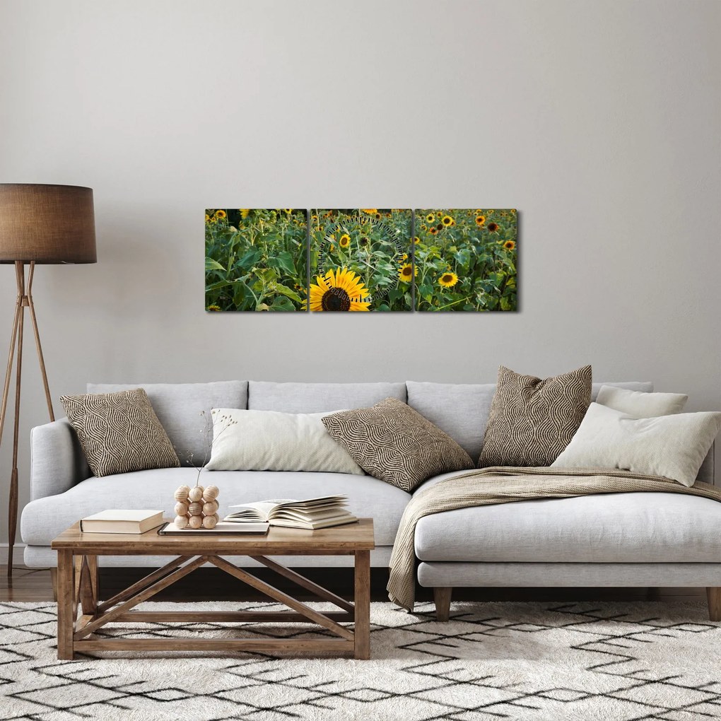 Obraz - Slnečnicové pole II. (s hodinami) (90x30 cm)