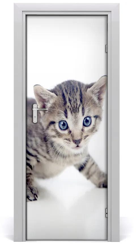 Samolepiace fototapety na dvere malá mačka 75x205 cm