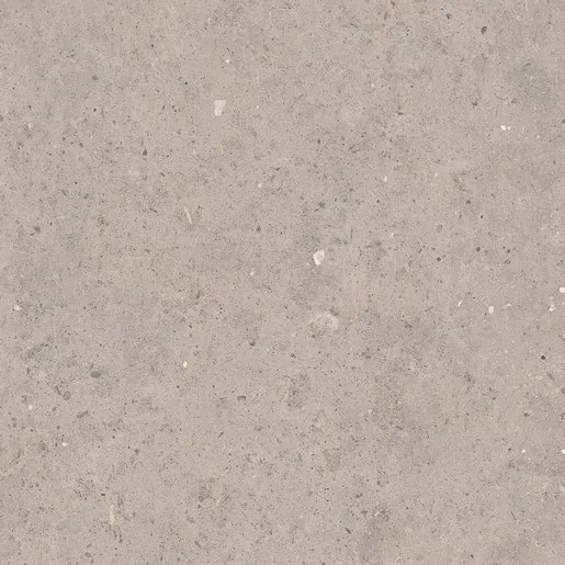 Dlažba Pastorelli Biophilic grey 80x80 cm mat P009419, (bal. 1,280 m2 )