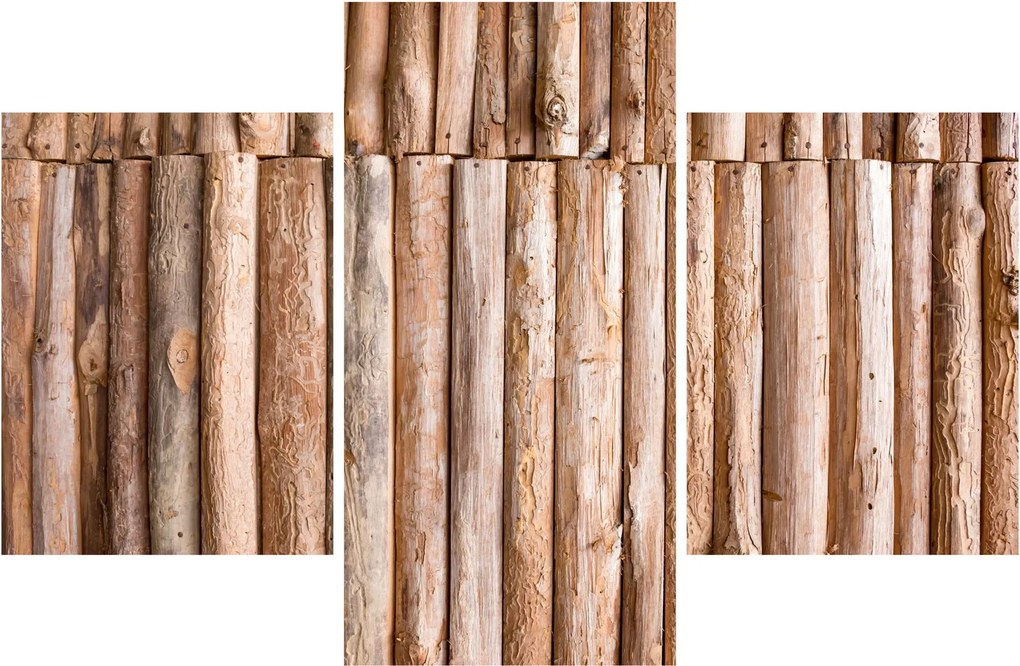 Obraz - Bambus (90x60 cm)