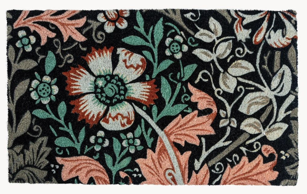 Rohožka Dianthus