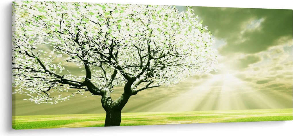 Obraz stromu na lúke (120x50 cm)