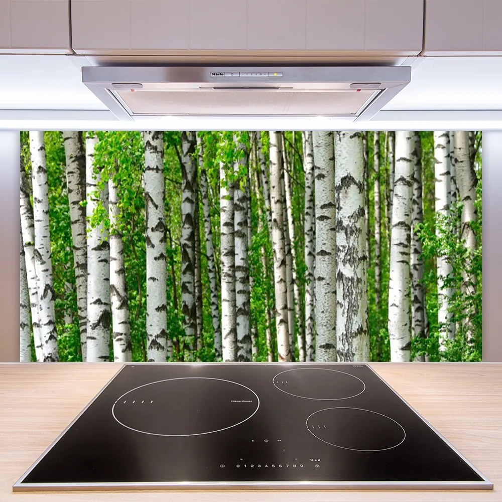 Sklenený obklad Do kuchyne Les rastlina príroda 120x60 cm