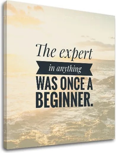 Motivačný obraz na stenu The expert in anything