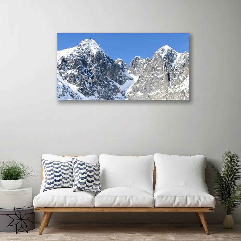 Obraz Canvas Hora sneh príroda 140x70 cm
