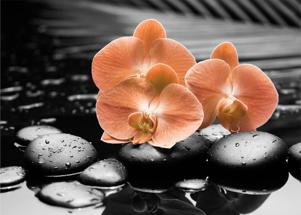 Sklenený obraz - Oranžové orchidey (70x50 cm)