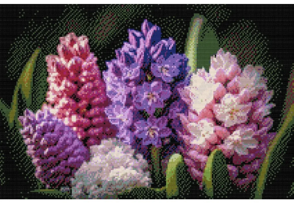 Gario Diamantové maľovanie Hyacinty Rozmery: 60 x 40 cm, Rámovanie: S vnútorným rámom, Diamanty: Štvorcové