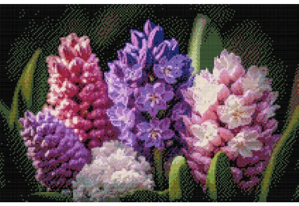 Gario Diamantové maľovanie Hyacinty Rozmery: 80 x 60 cm, Rámovanie: S vnútorným rámom, Diamanty: Štvorcové