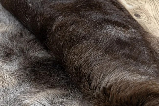 Koberec RENIFER POK018 hnedý / sivý