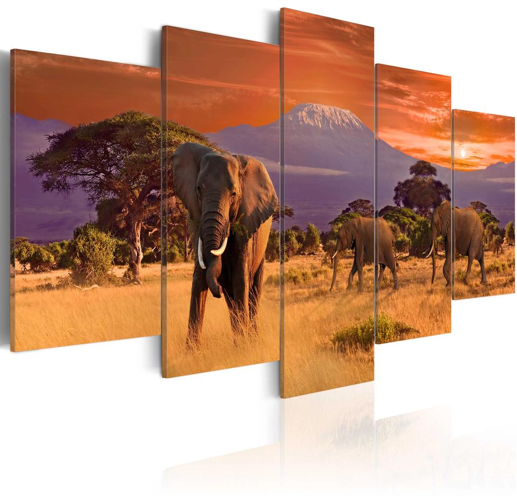 Artgeist Obraz - Africa: Elephants Veľkosť: 200x100, Verzia: Premium Print