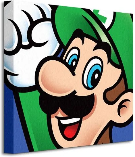 Obraz na plátne Nintendo Super Mario (Luigi) 40x40cm WDC95442