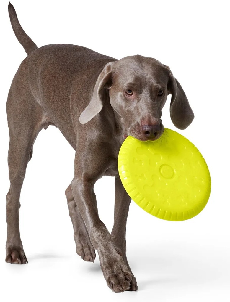 Lietajúci tanier pre psy