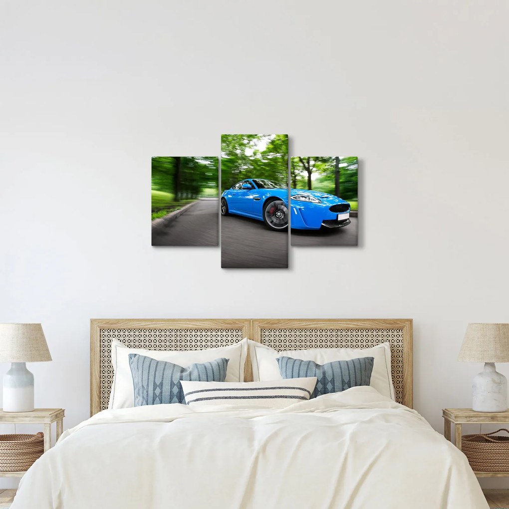 Obraz - Závodné auto (90x60 cm)