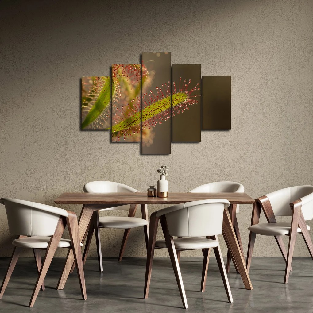 Obraz rastliny (150x105 cm)