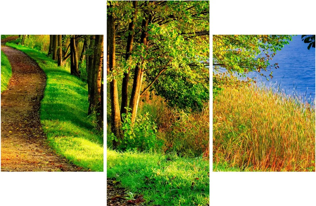 Obraz chodníky pozdĺž vody (90x60 cm)