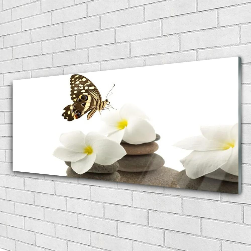 Obraz plexi Motýľ kvet kamene rastlina 125x50 cm