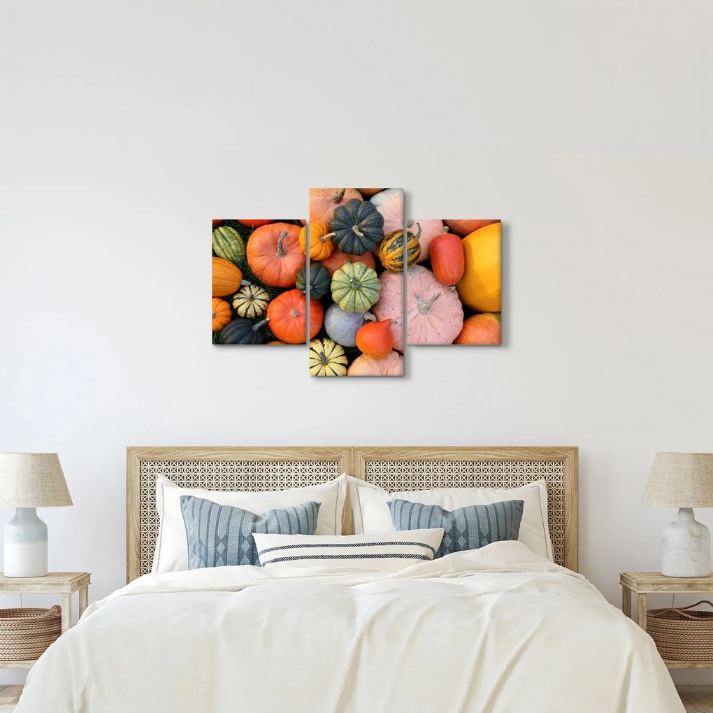 Obraz - Tekvica (90x60 cm)