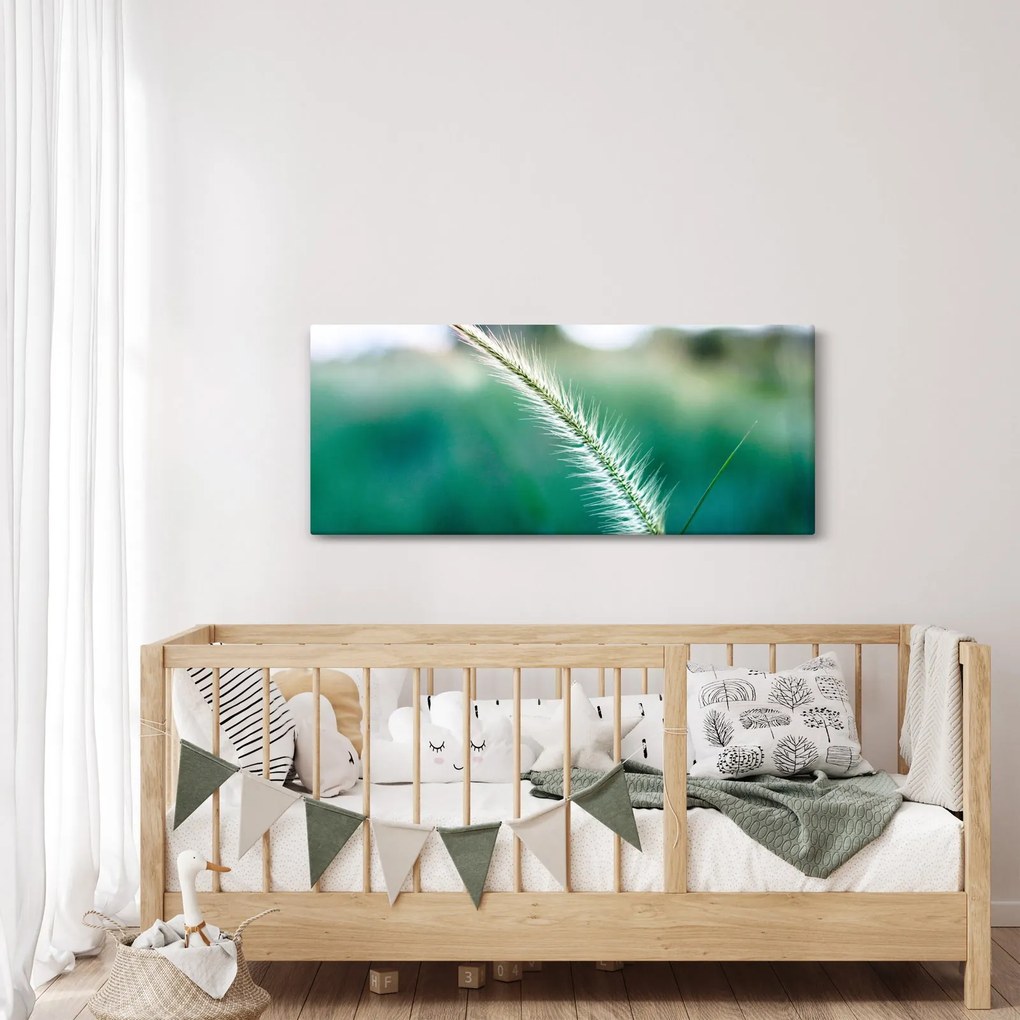 Obraz steblá trávy (120x50 cm)