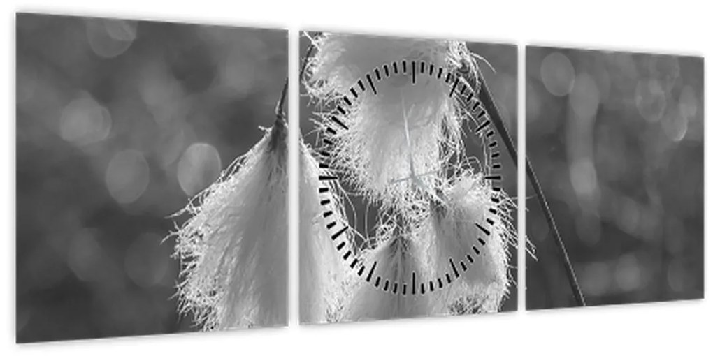 Obraz - Cottongrass (s hodinami) (90x30 cm)