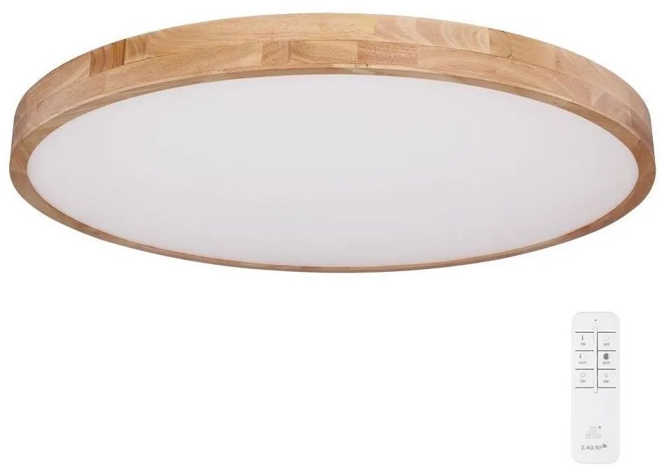 Globo 41745-60 - LED Stmievateľné stropné svietidlo RAINER LED/60W/230V + DO GL6896