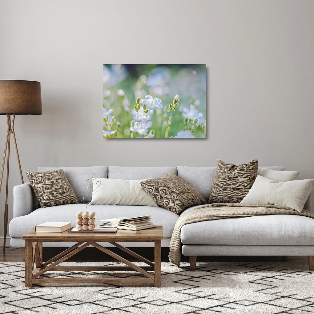 Sklenený obraz - Jemné kvety (70x50 cm)