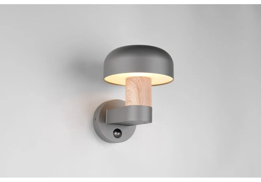 Nástenné vonkajšie svietidlo (výška 24,5 cm) Fraser – Trio