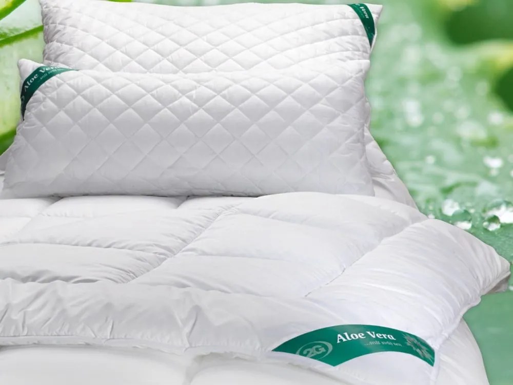 2G Lipov Súprava Aloe Vera extra hrejivá - 135x220 / 70x90 cm | akce 1+1 (2ks)