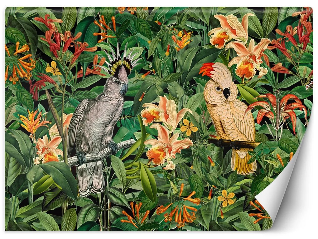 Gario Fototapeta Veľké papagáje v zelených trópoch - Andrea Haase Materiál: Vliesová, Rozmery: 200 x 140 cm