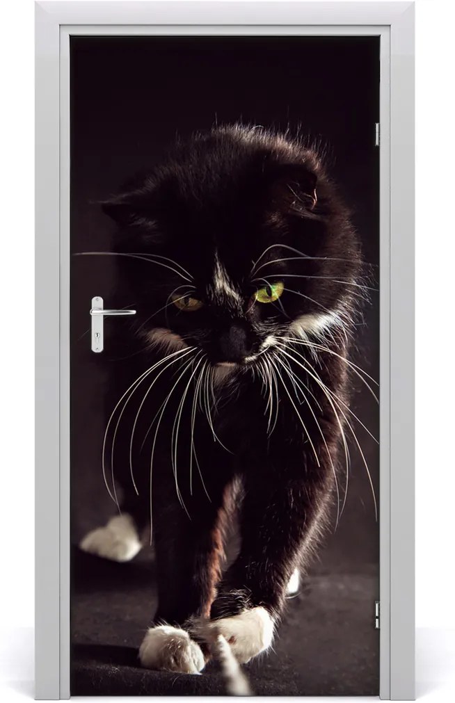 Samolepiace fototapety na dvere  čierna mačka