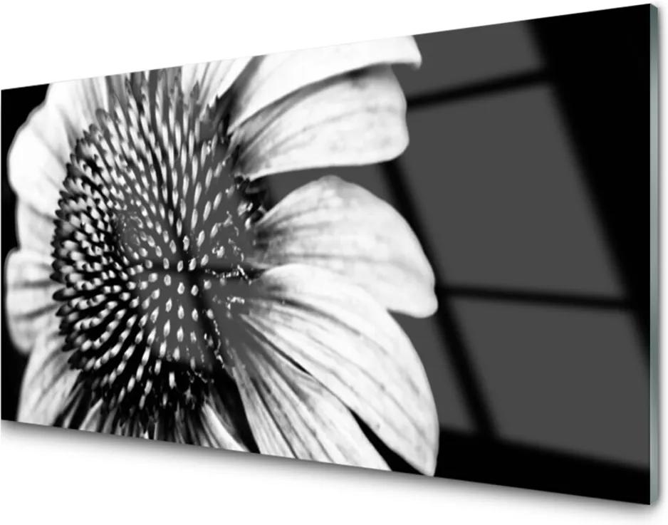 Obraz na akrylátovom skle Kvet Rastlina Príroda