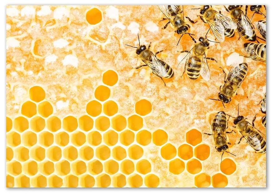 Fotoobraz na skle Pracujúci včely pl-osh-100x70-f-74378590