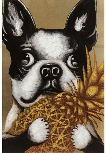 Dog with Pineapple obraz viacfarebný