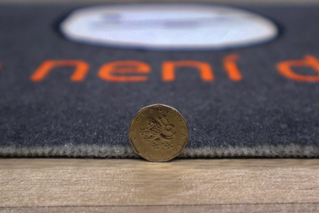 Mercury Flooring, Rohožka Nikto nie je doma 40x60 cm, 40x60, šedá