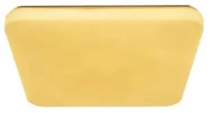 LED Stropné svietidlo OPAL LED/36W/230V 3000-6500K + diaľkové ovládanie