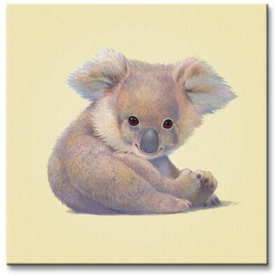 Art Group Obraz na plátne Koala Butler John Rozmery: 40 x 40 cm