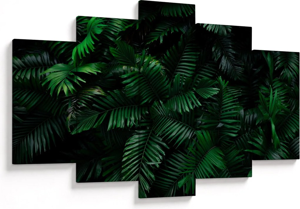 Obraz - Tropické papradie (150x105 cm)