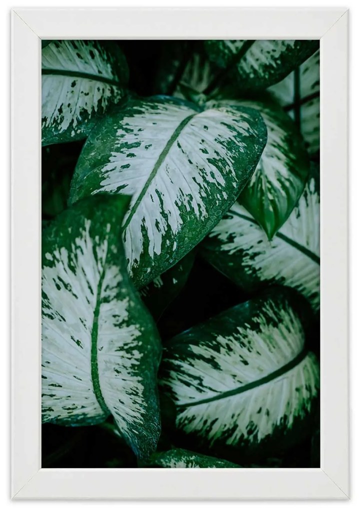 Gario Plagát Zelené tropické rastliny Farba rámu: Bez rámu, Rozmery: 30 x 45 cm