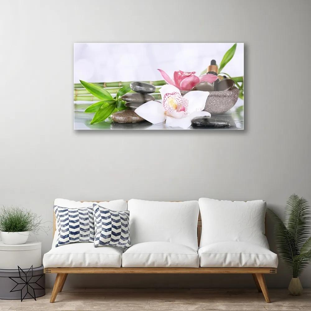 Obraz plexi Orchidea kamene bambus 100x50 cm