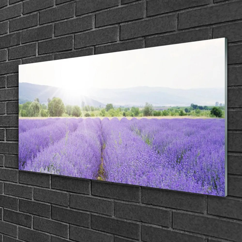 Skleneny obraz Pole levanduľa príroda lúka 100x50 cm