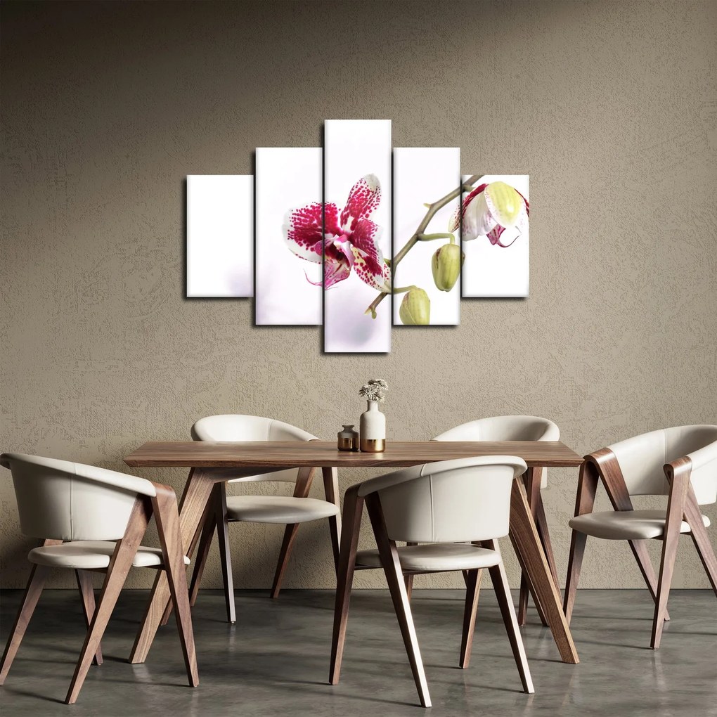 Obraz kvetu orchidey (150x105 cm)