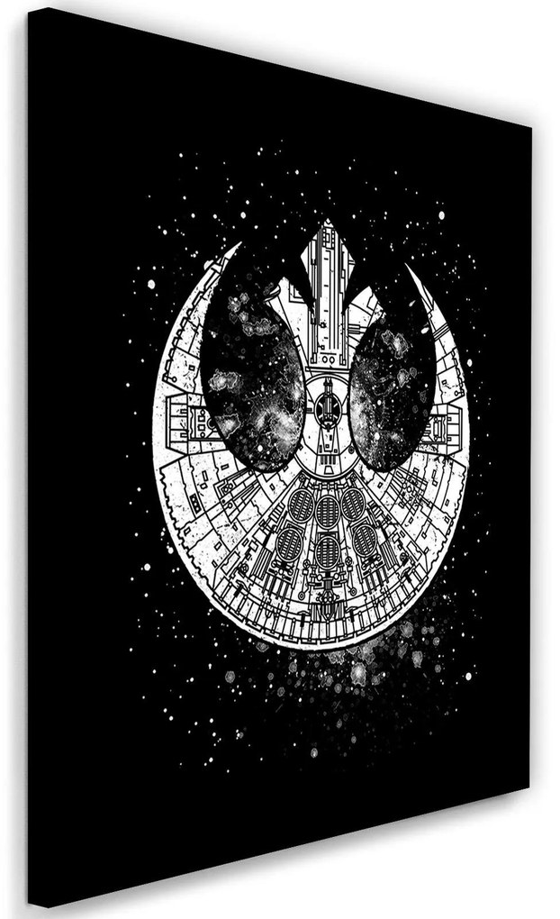 Gario Obraz na plátne Star Trek Rebels - Dr.Monekers Rozmery: 40 x 60 cm