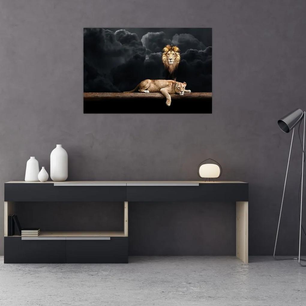 Obraz - Lev a levice v oblakoch (90x60 cm)