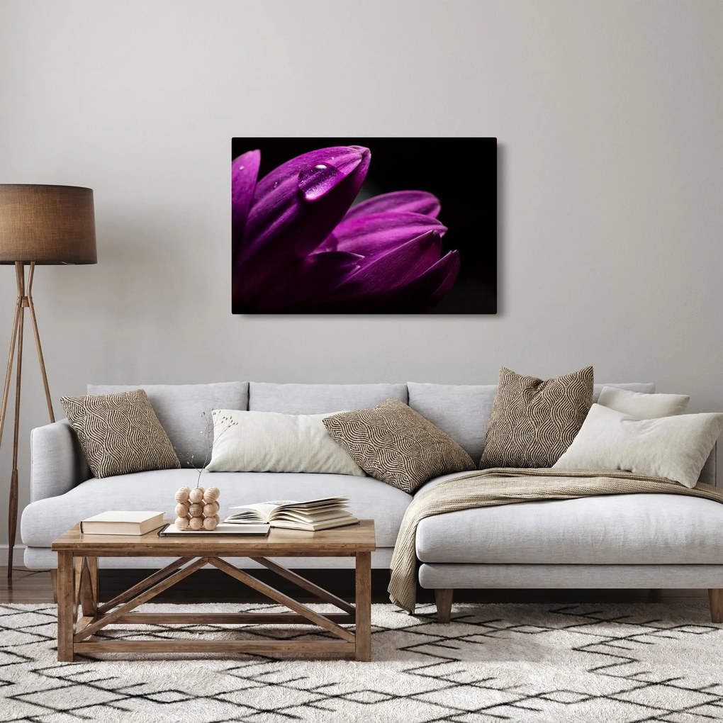 Obraz - Kvapka vody (90x60 cm)