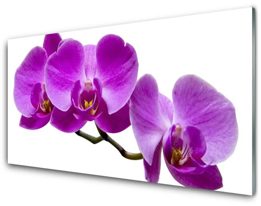 Obraz na akrylátovom skle Kvety 100x50cm