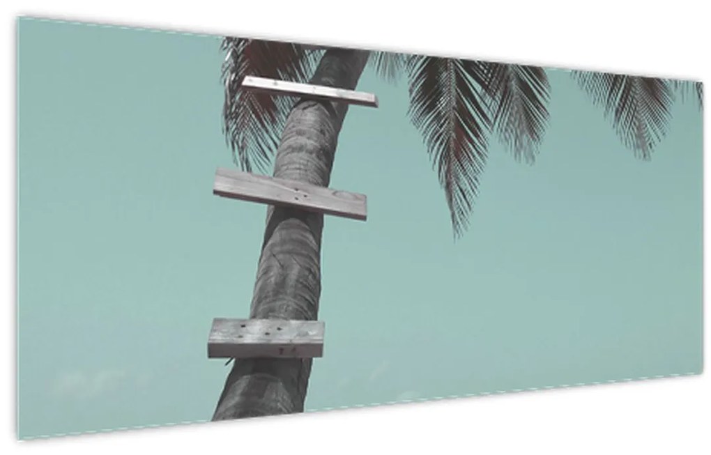 Obraz - Palma v Karibiku (120x50 cm)